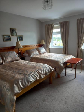 Villa Pio Accommodation Cong